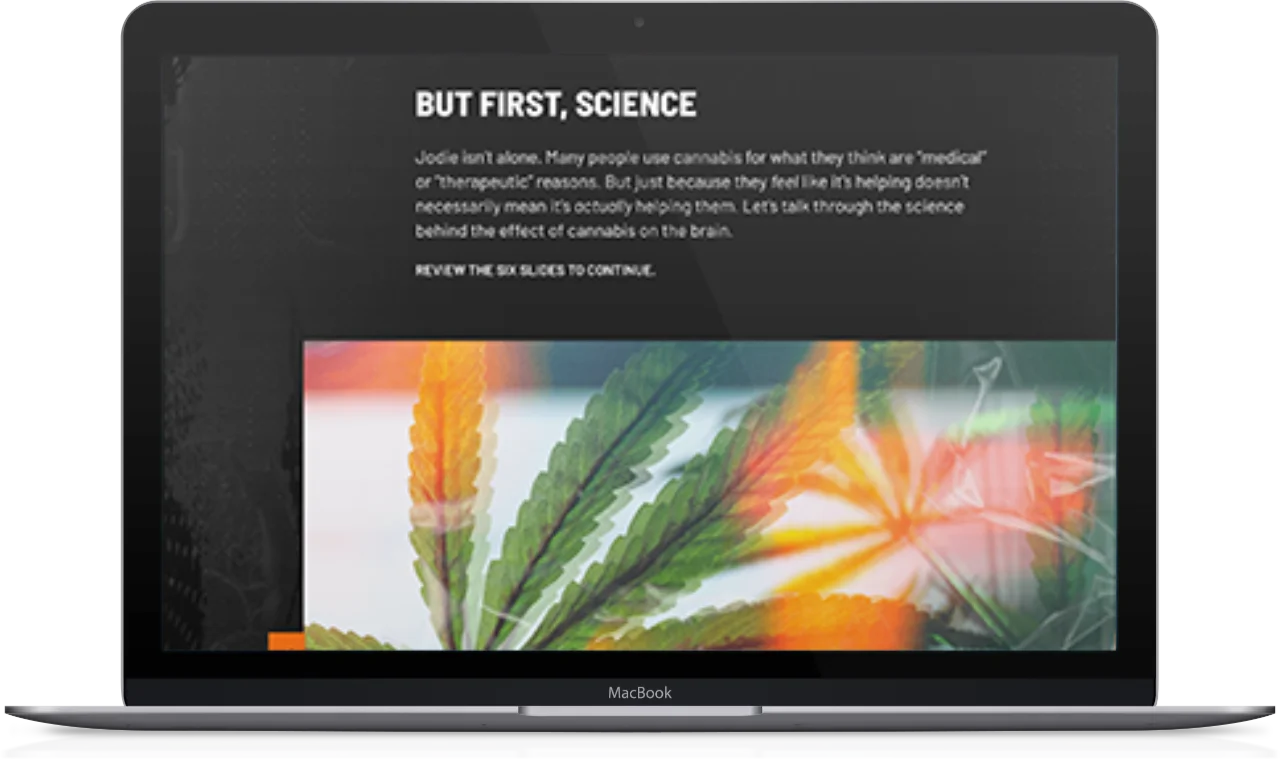 Macbook showing Vaping screenshot